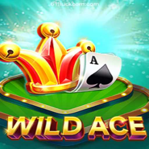 WildAce: A Thrilling New Entrant in the Online Casino Landscape